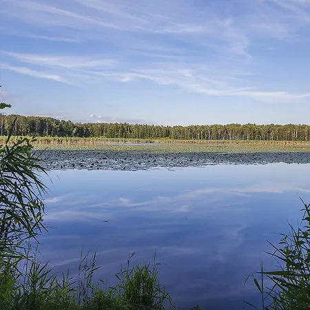 Palac Lagow 酒店 2*