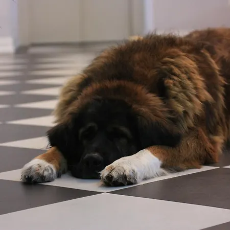 Pałac łagów Zgorzelec