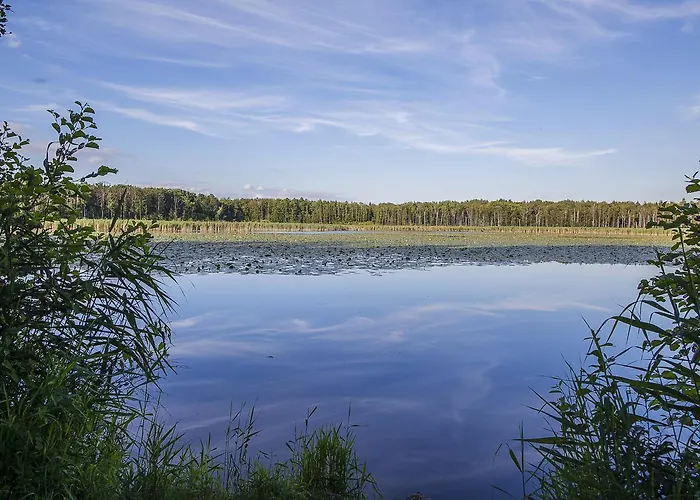 Palac Lagow 酒店 2*