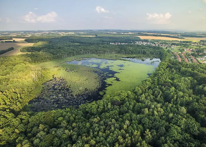 Palac Lagow 2* 兹戈热莱茨