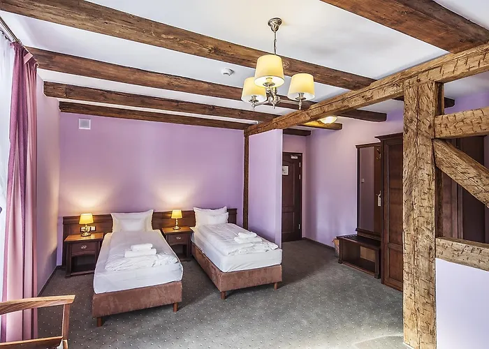 Palac Lagow 酒店 兹戈热莱茨