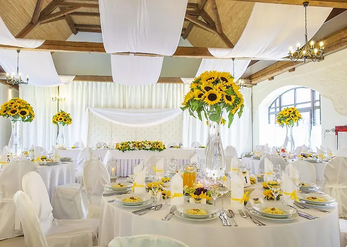 Palac Lagow 酒店 2*